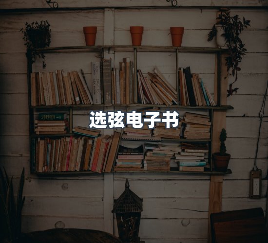 关于选弦电子书